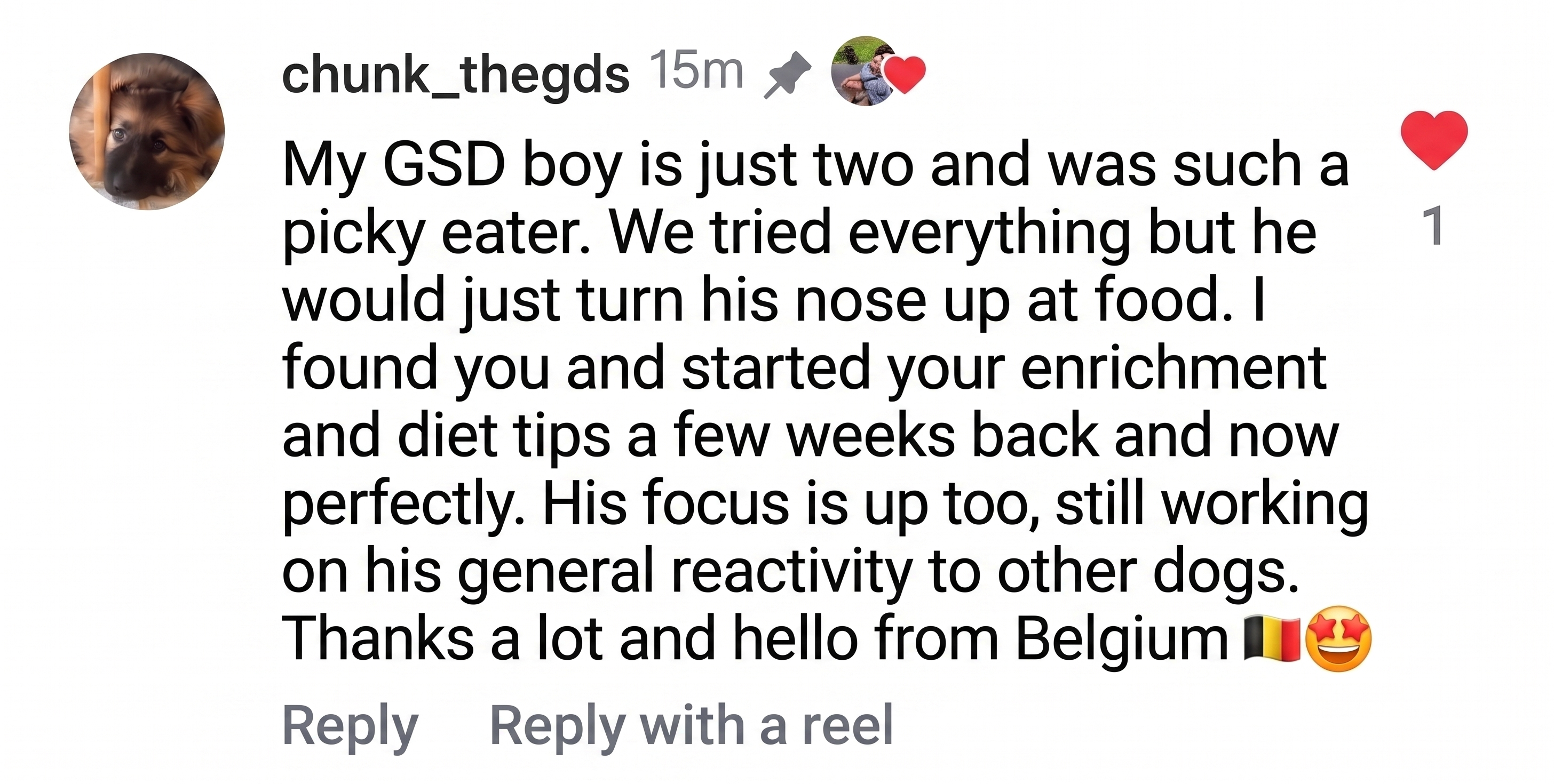 Instagram comment from chunk_thegds about a picky-eater German Shepherd