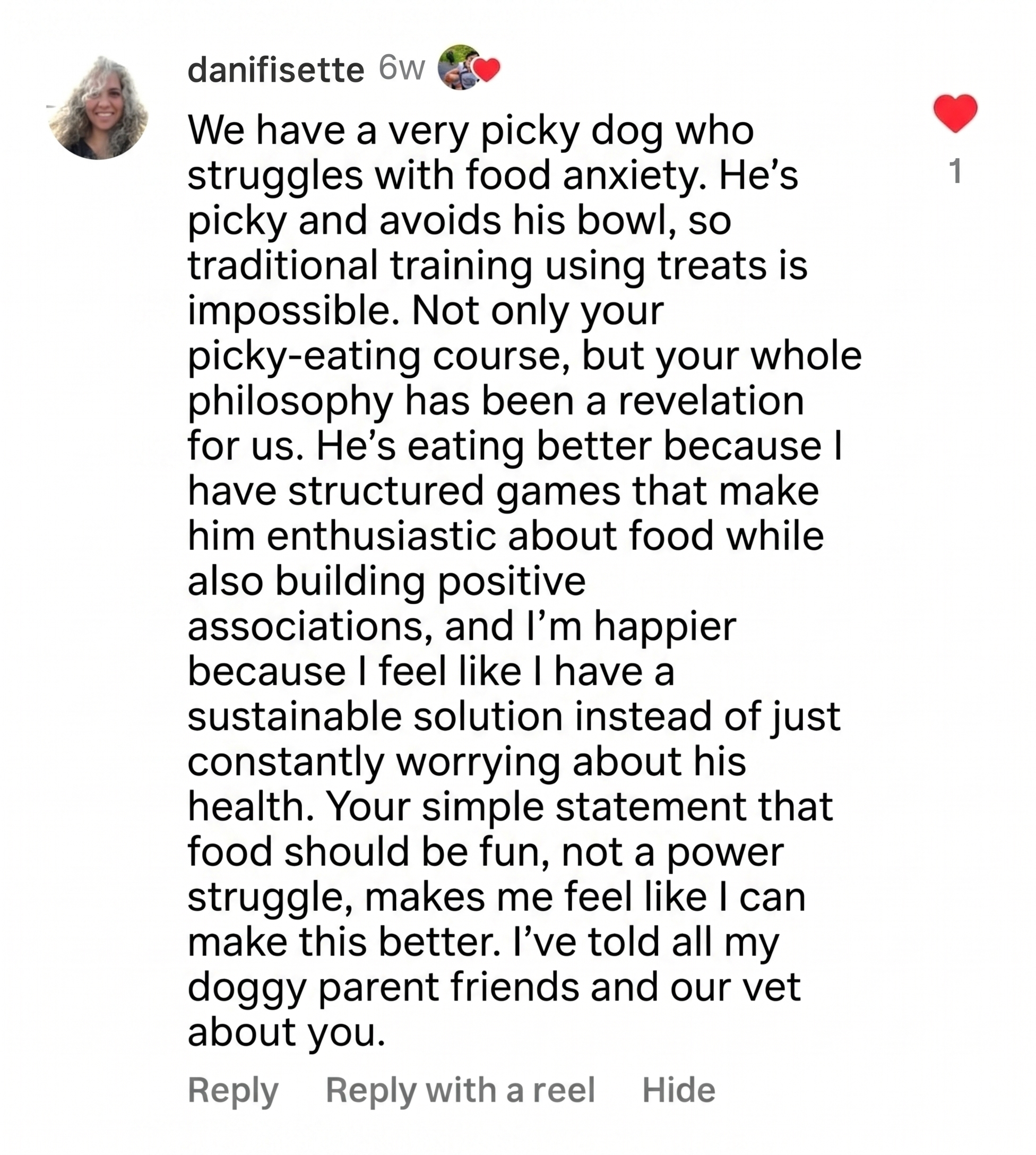 Instagram comment from danifisette about a picky dog with food anxiety