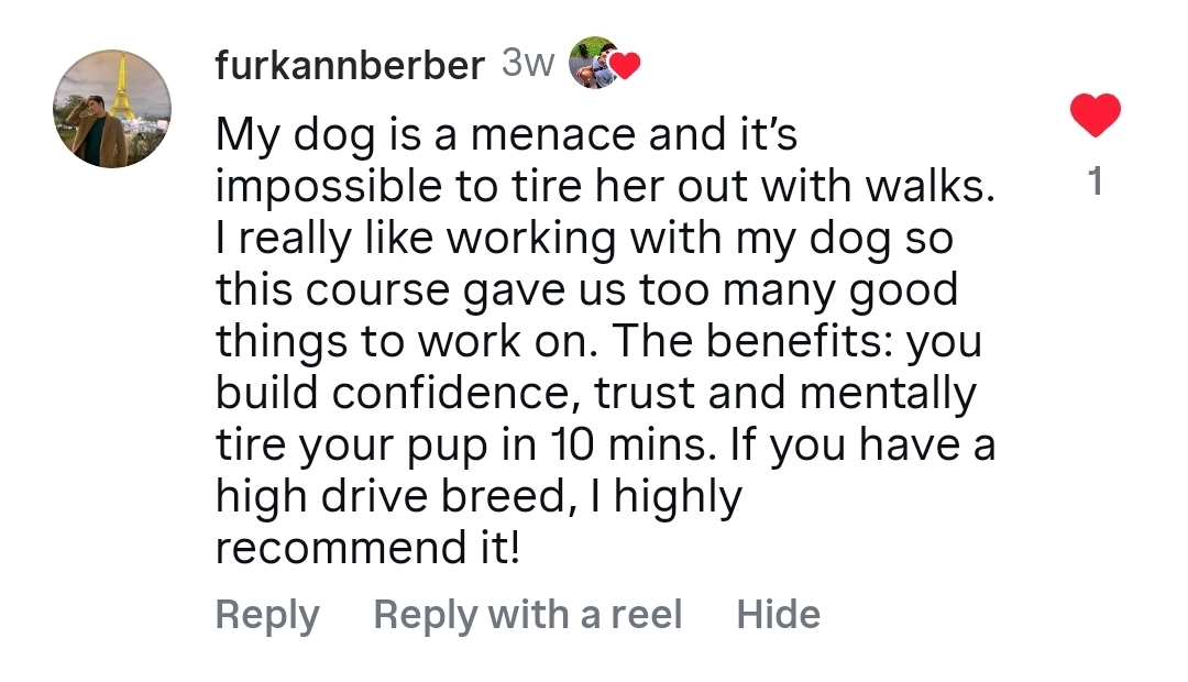Instagram comment from furkannberber about a high-drive breed