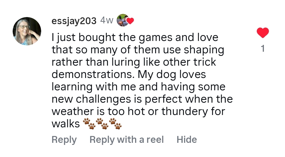 Instagram comment from essjay203 about shaping-based training games